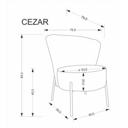 CEZAR fotel wypoczynkowy, beżowy (1p=1szt)-23648